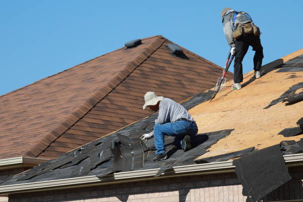 Best Sheet Metal Roofing  in Maugansville, MD